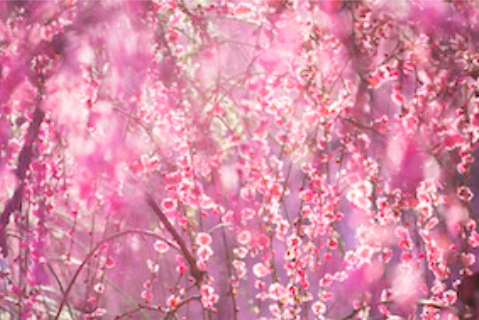 作品名：Eternity in a Moment